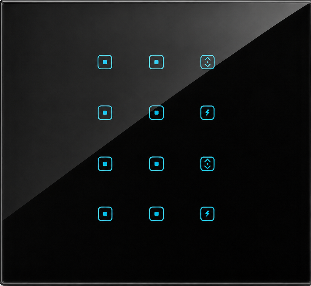 12 Switch